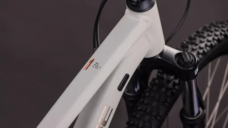 Cube Aim Pro Mountain Bike in Greige/Titan-1