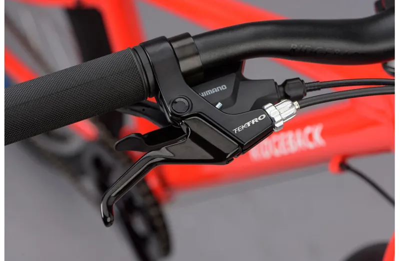 ridgeback dimension 24