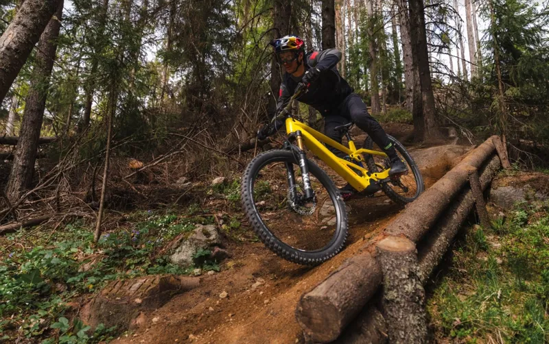 All new Orbea Wild LT 2027