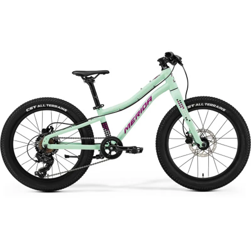 Merida Matts J.20+ 20 Inch Wheel Kids Bike in Mint and Purple 2025