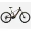 Wild M- Ltd Caramel Carbon View - Cream White Matt - 2026