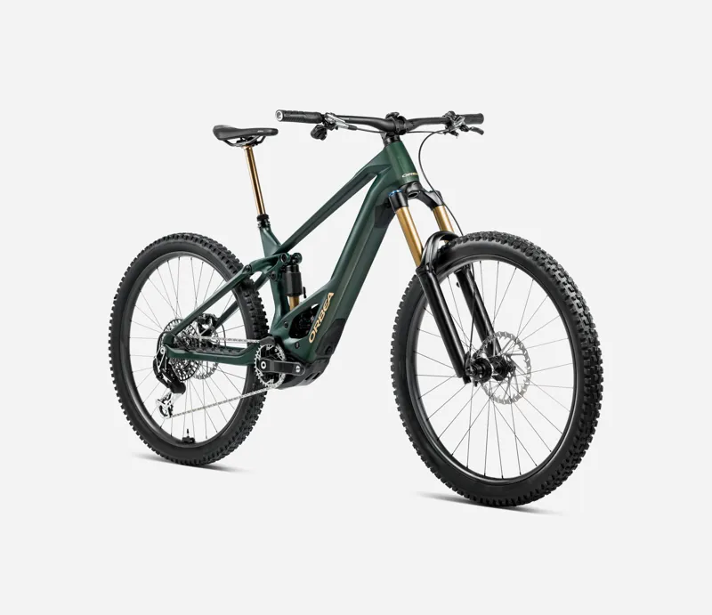 Wild M- Ltd Forest Green - 2026-1