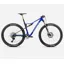 Oiz M-Team Factory Cobolt Blue - Carbon Raw Matt- 2026