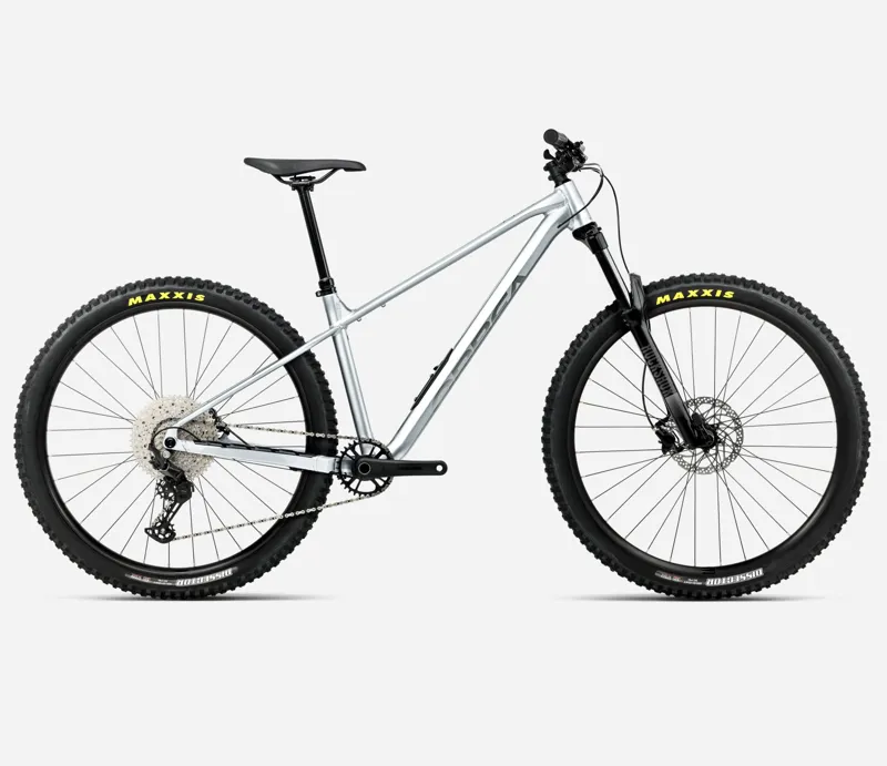 Orbea Laufey H30 Smooth Silver Matt - Titanium-2026