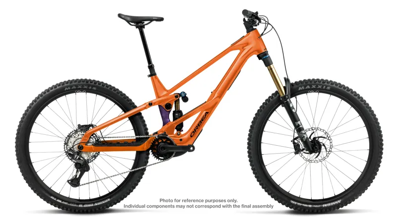 Wild/Mullet Lt H10 Wild Orange -Royal Plum My27