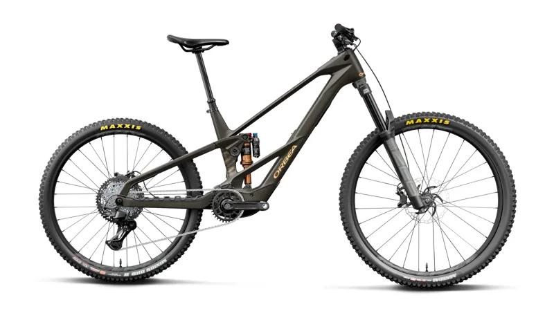 Wild/Mullet Lt M20 Magic Gold CView Matt - Titan Gold My27
