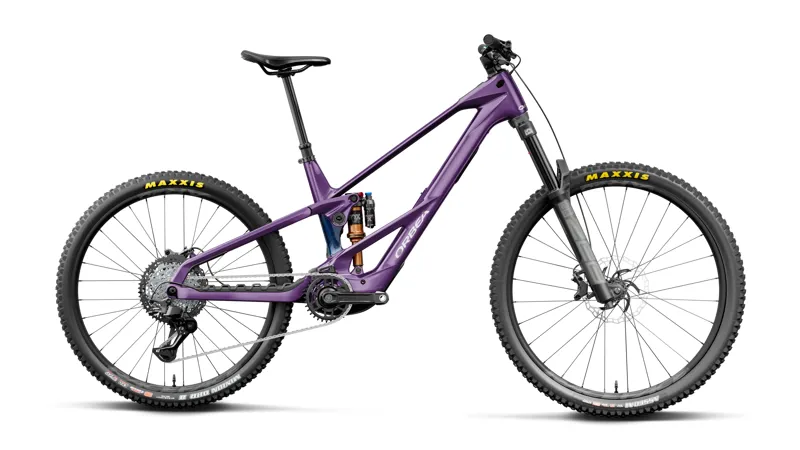 Wild/Mullet Lt M20 Royal Plum-ctiluca C.View My27