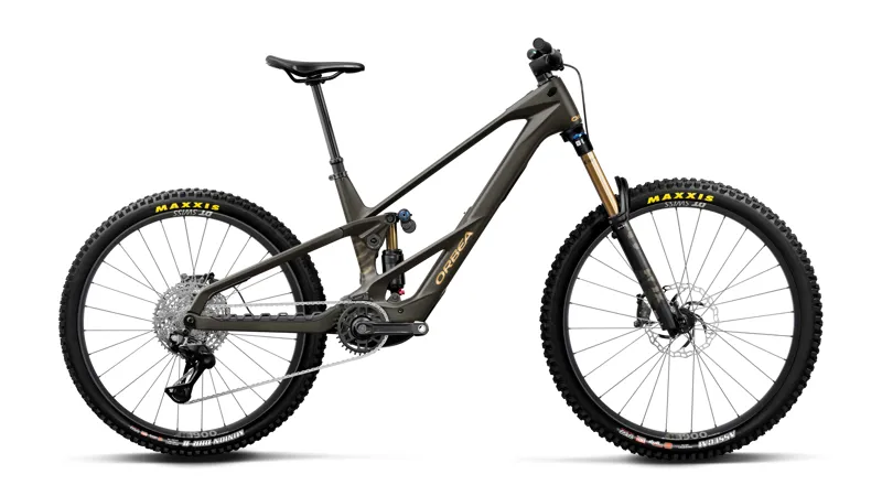 Wild/Mullet Lt M10 Magic Gold CView Matt - Titan Gold My27