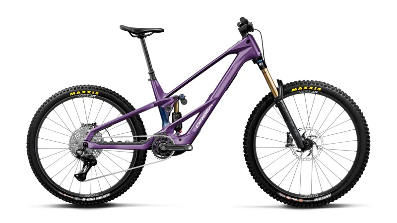 Wild/Mullet Lt M10 Royal Plum-ctiluca C.View My27